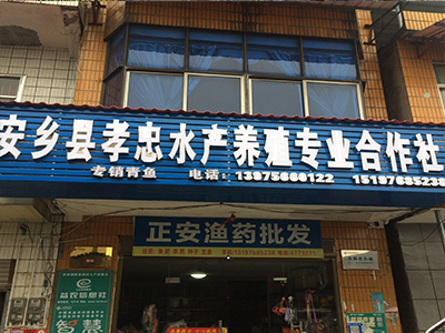 安乡县孝忠水产养殖专业合作社,安乡县生态青鱼,安乡县养殖青鱼,无污染鱼苗